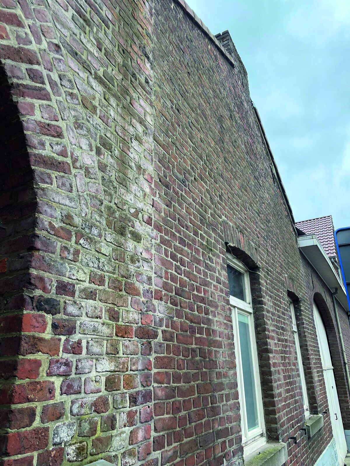 Bakstenen gevel met groene aanslag en mos vóór gevelreiniging in Limburg