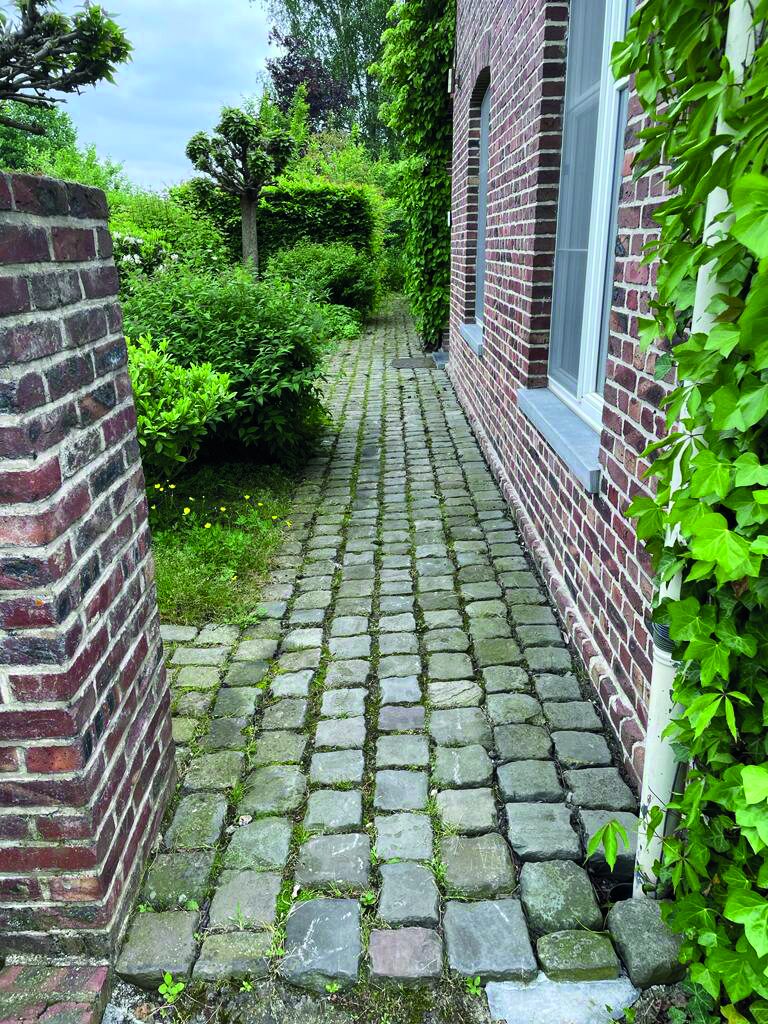 Klinkerpad vol groene aanslag en onkruid vóór terrasreiniging in Limburg